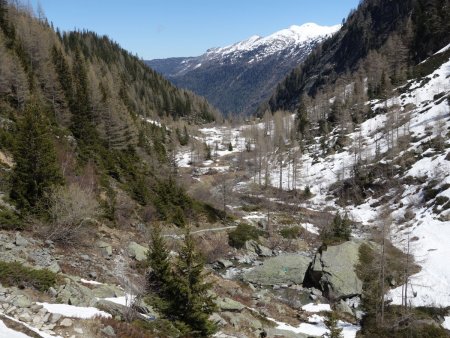 Regard arrière vers le bas du vallon.