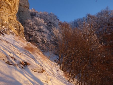 Le froid résiste dans les combes à l’ombre...