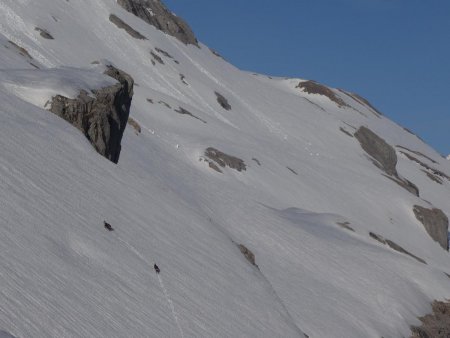 Deux chamois arriveront avant moi...