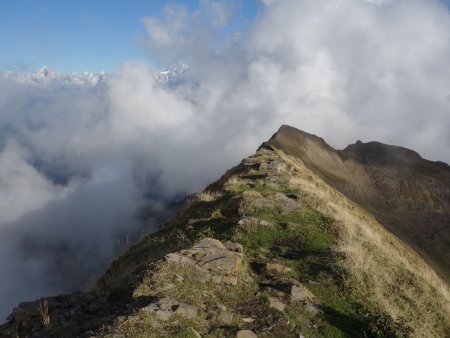 Depuis le sommet, regard vers l’Ambrevetta.