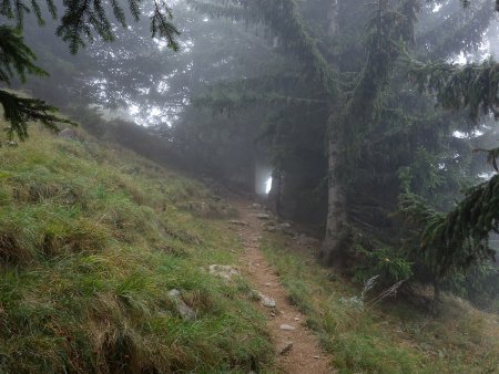 Le sentier de Bois Bouilloud.