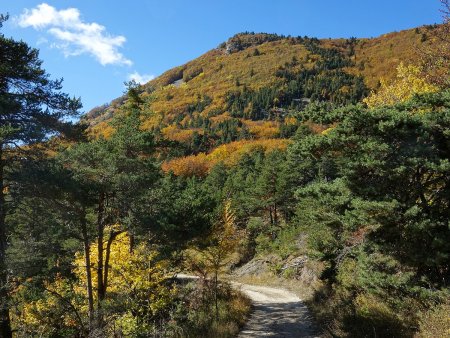 Au col des Flocardes.