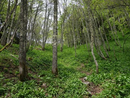 La dernière montée sous le col, raide et boueuse...