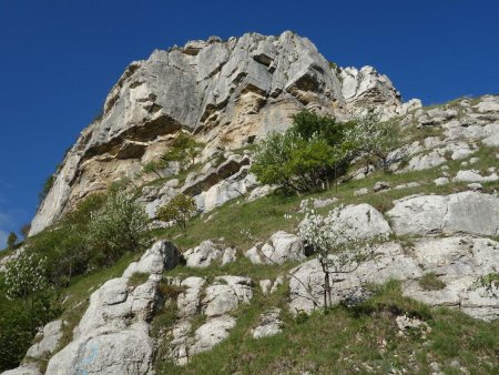 La belle falaise supérieure, au niveau de l’Observatoire.