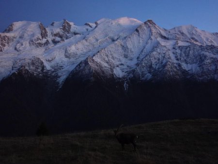 Le soir descend sur le Mont Blanc...