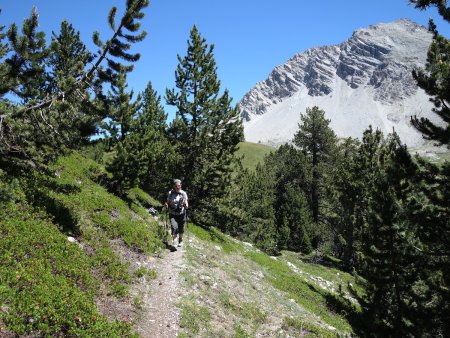 Traversée à flanc en sous bois