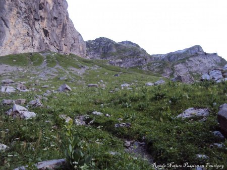 En montant vers le refuge de la Vogealle