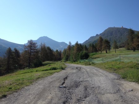 La piste dans la trajectoire de la Rognosa