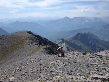 Sur la croupe de la Punta face aux Écrins