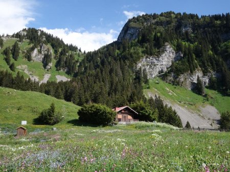 Au départ des chalets de la Buchille, dans un écrin verdoyant et fleuri...