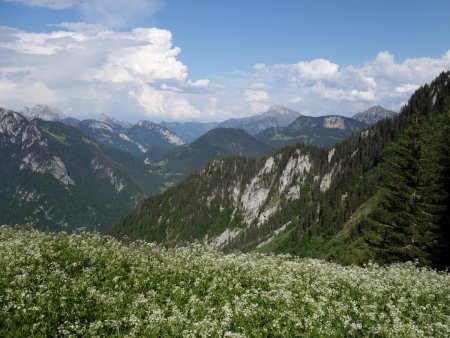 Au col de la Buchille, vue sur la vallée de la Dranse.