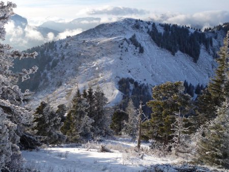 Vue sur le col des Ayes et Pravouta.