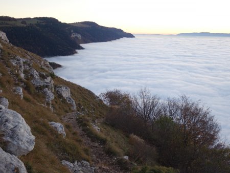 Les rives de l’«île» Salève...