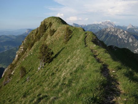 Finalement, une courte arête pour rejoindre le sommet.