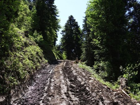 Montée efficace mais boueuse...