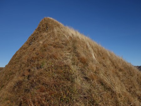 Pyramide herbeuse...