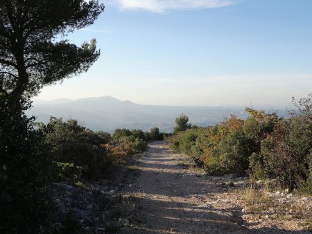 Le chemin de crête descendant sur Auriol.