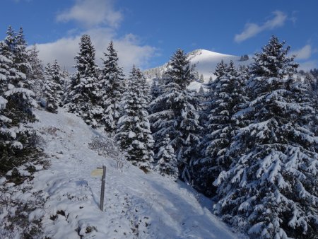 Le long de la crête ouest...