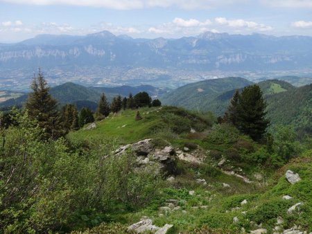 Dans les bruyères verdoyantes...