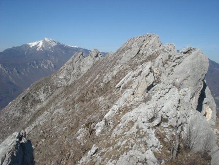 Suite des arêtes