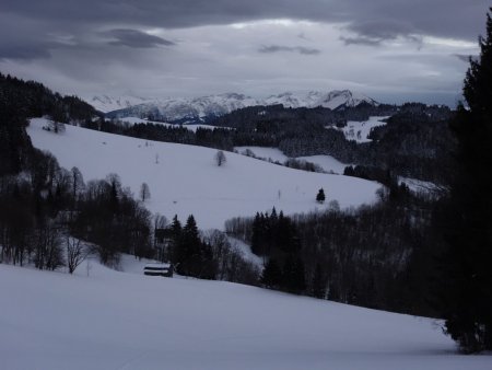 Le retour vers Plaine Joux...