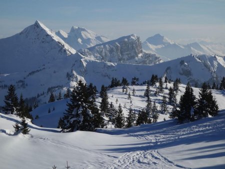 Regard vers l’Aiguille Verte, le Roc des Tours, l’Etale, le Charvin.