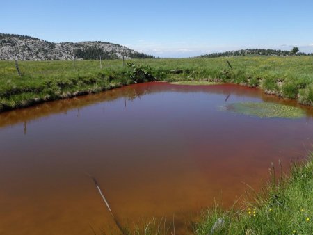 Un lac rouge ?