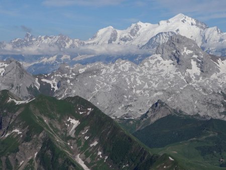 Vert, gris, blanc...