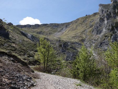 On sort de la forêt...