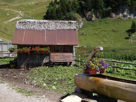 Aux chalets de Bise, dernier point d’eau.