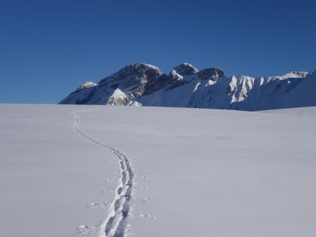 Trace dans l’immense solitude du plateau de Cenise...