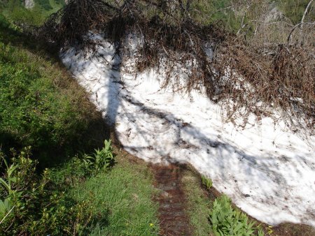 La neige barre le chemin en ce mois de juillet