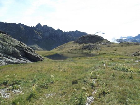 Lac à fleur d’alpage