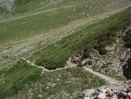 Sentier dans le haut du vallon