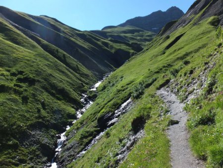 Le ruisseau de Chapeau Roux.