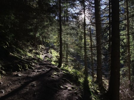 Départ matinal en bas de la Combe Madame.