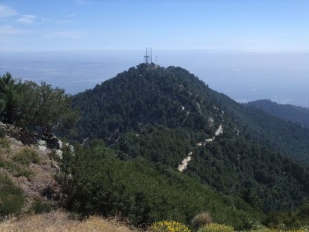 Depuis les les dernières pentes du Mont Wilson, regard arrière sur le Mont Harvard.