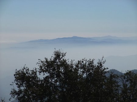 Vers le sud-ouest, les collines d’Hollywood sortent de la brume...