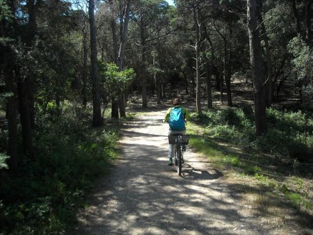 Porquerolles à vélo