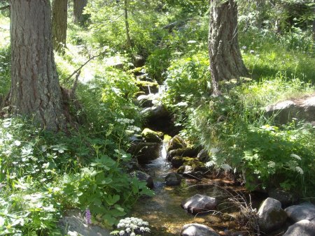 Torrent du départ