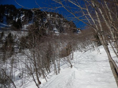 Dans les vernes de la montagne d’Arpingon