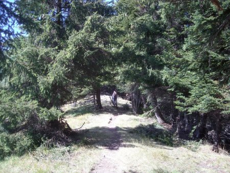 Le joli sentier de crête, encore