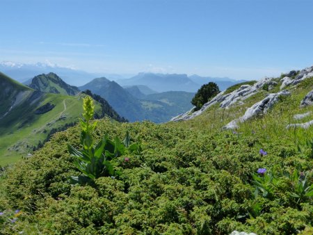 A la descente