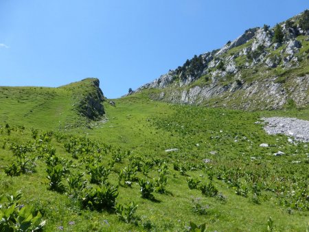 Direction la crête