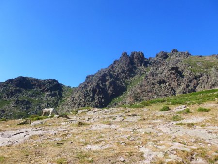 Au refuge d’Orto di u Piobbu