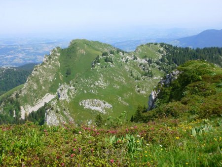 Le col de Mauvernay côté monastère