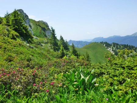  Col de Mauvernay, accès depuis Bovinant