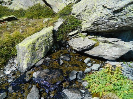 Il y a des sources (bienvenues) dans ce vallon.