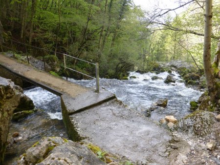 La passerelle