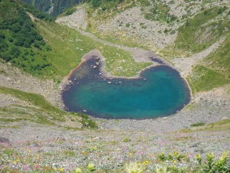 Forme caractéristique du lac de la Grande Sitre